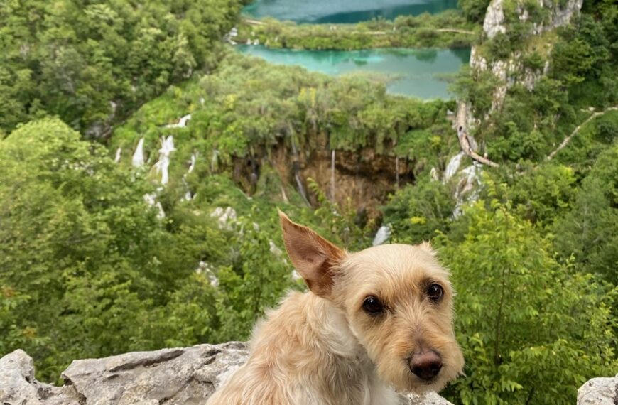 Summer Plitvice Lakes