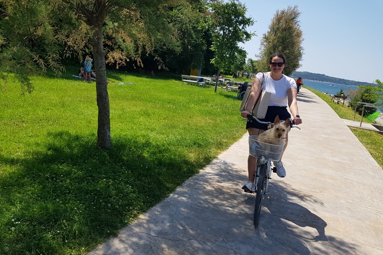 bike-ride