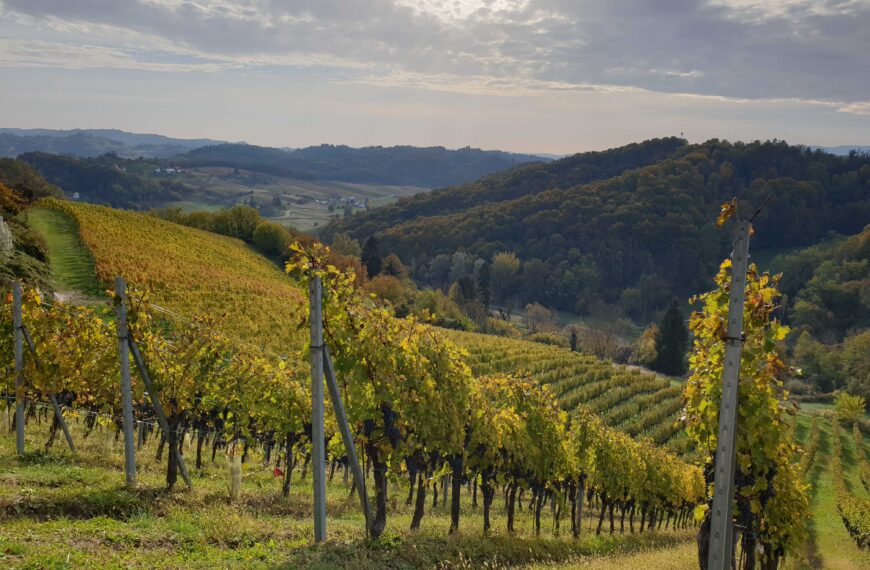 Vuglec Breg Winery